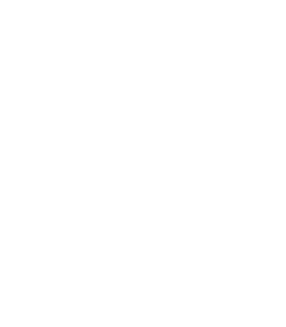 Avada Car Dealer Logo